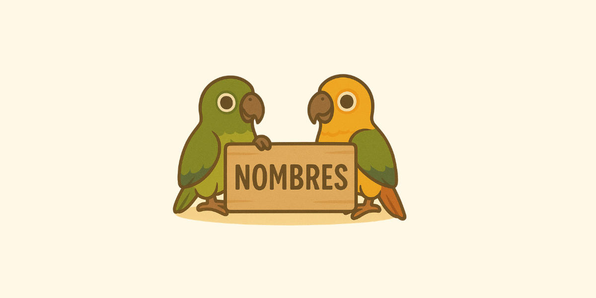 Nombres de loros: ideas únicas y bonitas para tu compañero de plumas