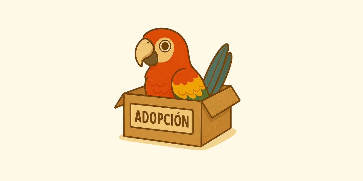 Cómo adoptar loros de forma responsable