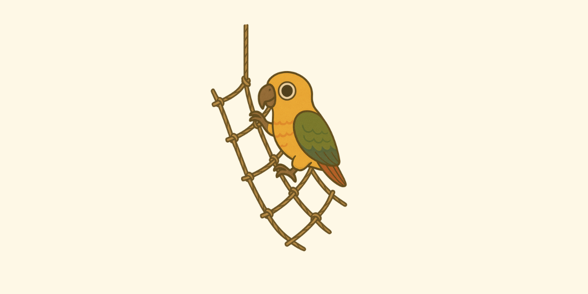 Juguete cuerda de escalada para loros