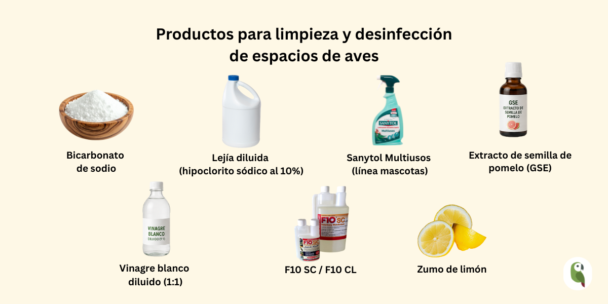 desinfección espacios de aves