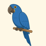 loro jacinto