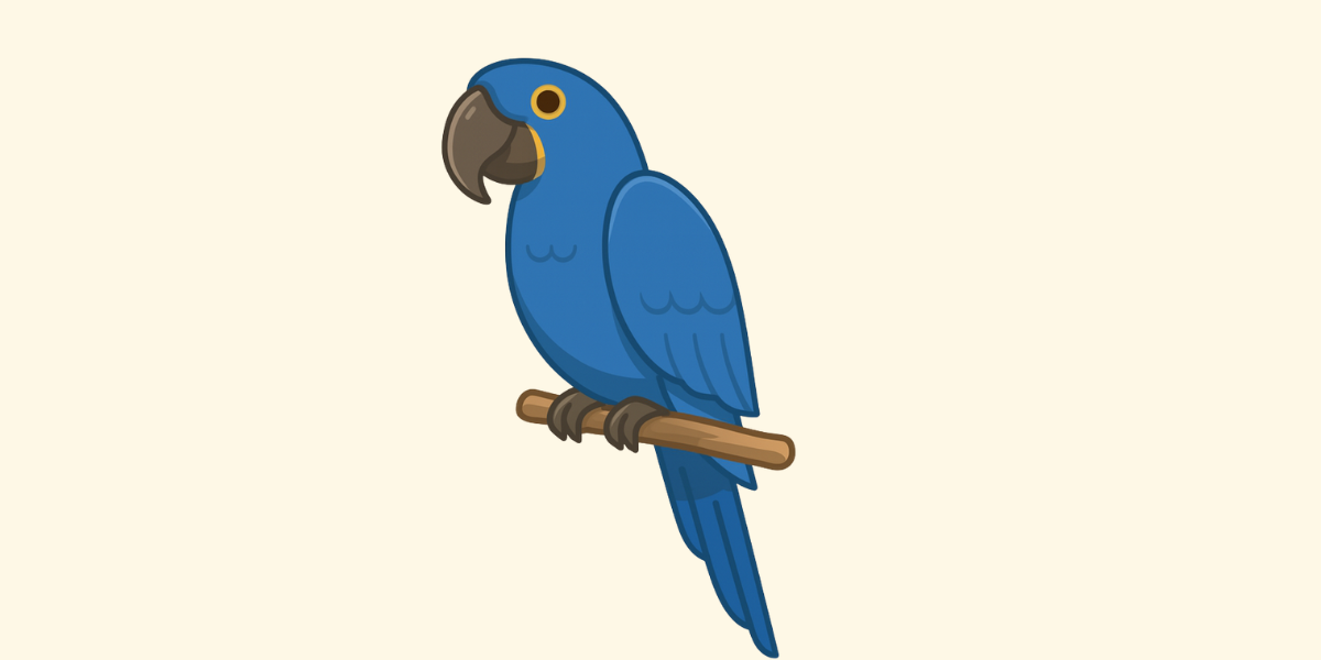 loro jacinto