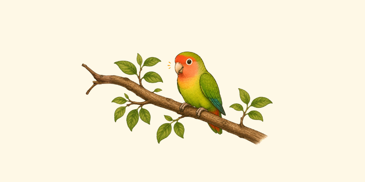 Ramas seguras para perchas de loros