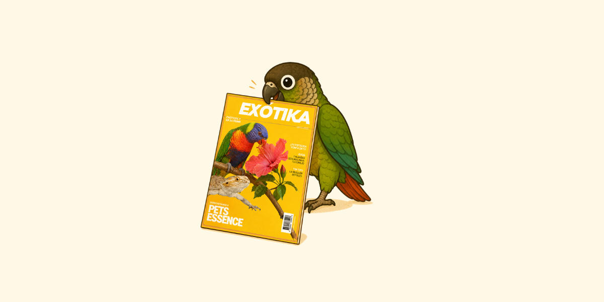 Sale la segunda edición de EXÓTIKA