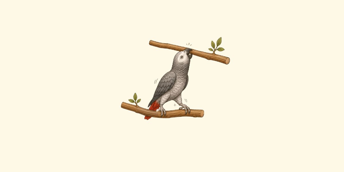 El pico de los loros como tercera pata