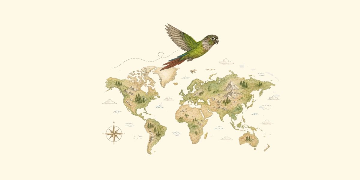 Dónde viven los loros en la naturaleza