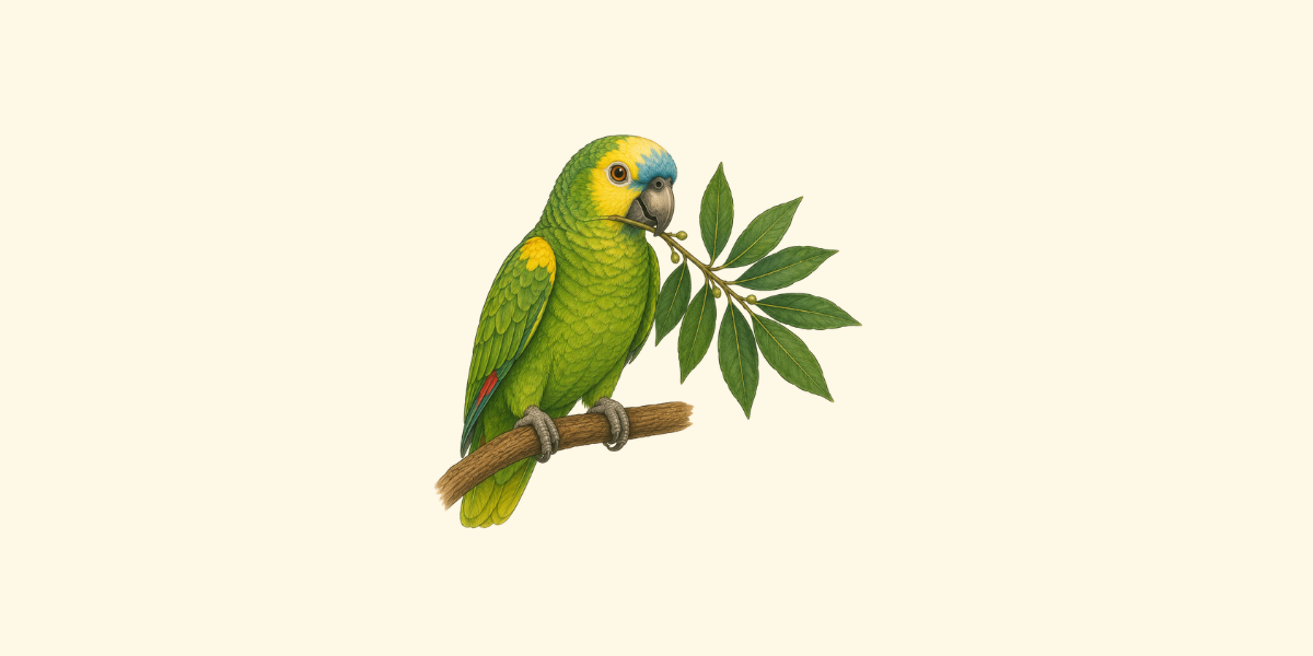 ¿Es seguro para tu loro cualquier laurel que tengas en casa?