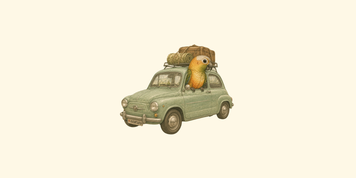 Cómo proteger a tu loro del calor durante un viaje en coche