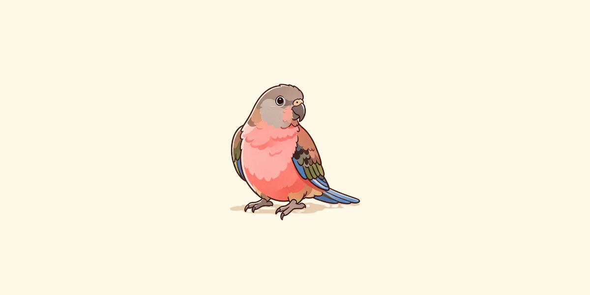 Periquito de Bourke, el pequeño loro rosa del atardecer